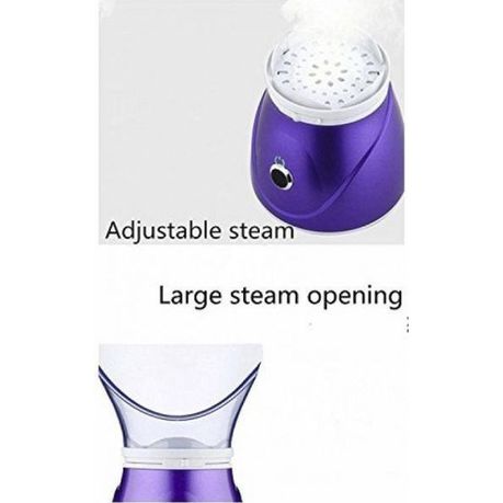 Professional Facial Steamer_1